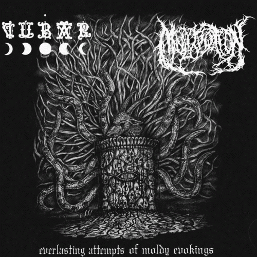 Vubar : Everlasting Attempts of Moldy Evokings